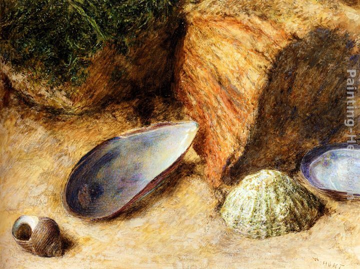 William Henry Hunt Still Life With Sea Shells On A Mossy Bank